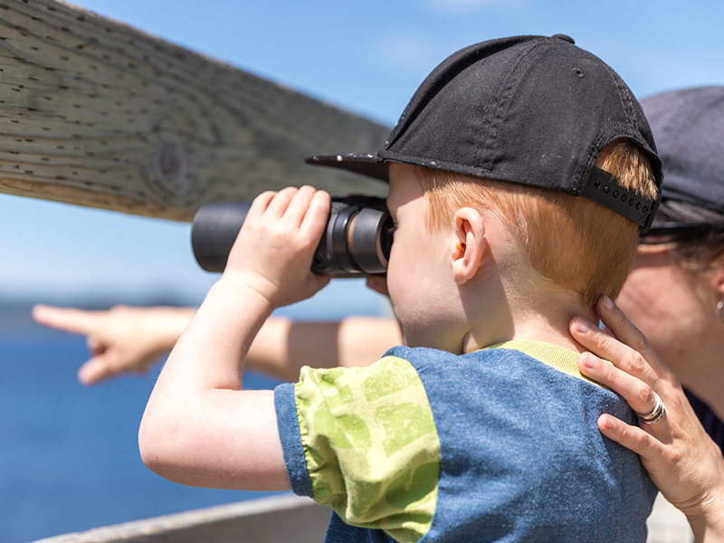 son watching whales using binoculars